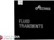 Fluid Transient