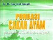 Pondasi Cakar Ayam (Menjabarkan Teori Prof. Soedijatmo)