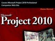 Microsoft Project 2010 : Bible