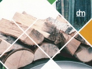 Pengawetan Kayu dan Bambu 3