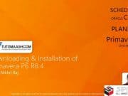 Oracle Primavera P6 Beginner & Advance Training