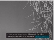 Concrete_Fiber in Concrete