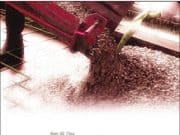 Concrete_Concrete Mix Design, Quality Control and Specification