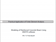 Modeling of Reinforced Concrete Beam