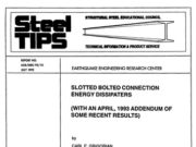 Steel Tips_SLOTTED BOLTED CONNECTION ENERGY DISSIPATERS