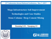 Mega Infrastructure Soil Improvement Technologies and Case Studies Stone Column / Deep Cement Mixing