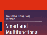 Smart and Multifunctional Concrete Toward Sustainable Infrastructures