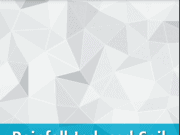 Rainfall-Induced Soil Slope Failure Stability Analysis and Probabilistic Assessment