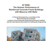 The Seismic Performance of RC Frame Buildings with Masonry Infill Wall