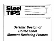 Seismic Design of Bolted Steel Moment Resisting Frames