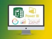 The Power Pivot, Power Query in Excel and Power BI Bundle