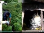 Video Sanimas Pelatihan DAK