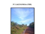 LAPORAN SURVEY TINJAU POTENSI BIJIH BESI