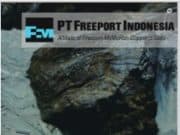 Industri Pertambangan Masa Lalu dan Masa Depan Indonesia