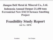 Feasibility Study Report