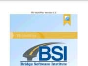 Bridge Software Institute