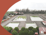 PANDUAN PENYUSUNAN RANCANGAN PERATURAN DAERAH TENTANG PENGELOLAAN AIR LIMBAH DOMESTIK 2018