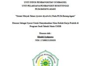 Sistem Minyak Tekan (System Hyudrolic) Pada PLTA Batang Agam