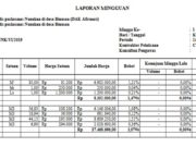 Laporan Mingguan Proyek Pembangunan Rumah Dinas
