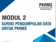 Modul Survei Pengumpulan Data untuk PKRMS (Pelatihan Provincial/Kabupaten Road Management System)
