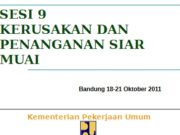KERUSAKAN DAN PENANGANAN SIAR MUAI