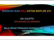 BUDIDAYA IKAN NILA SISTEM BIOFLOK 651