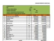 ANALISA BUIDAYA IKAN NILA