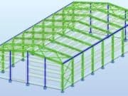 Robot Structural Analysis (Steel Structure)