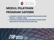 MODUL PELATIHAN PROGRAM SAP2000