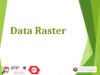Data Raster