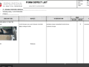 Form Defect List