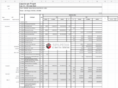 Cost Control Proyek